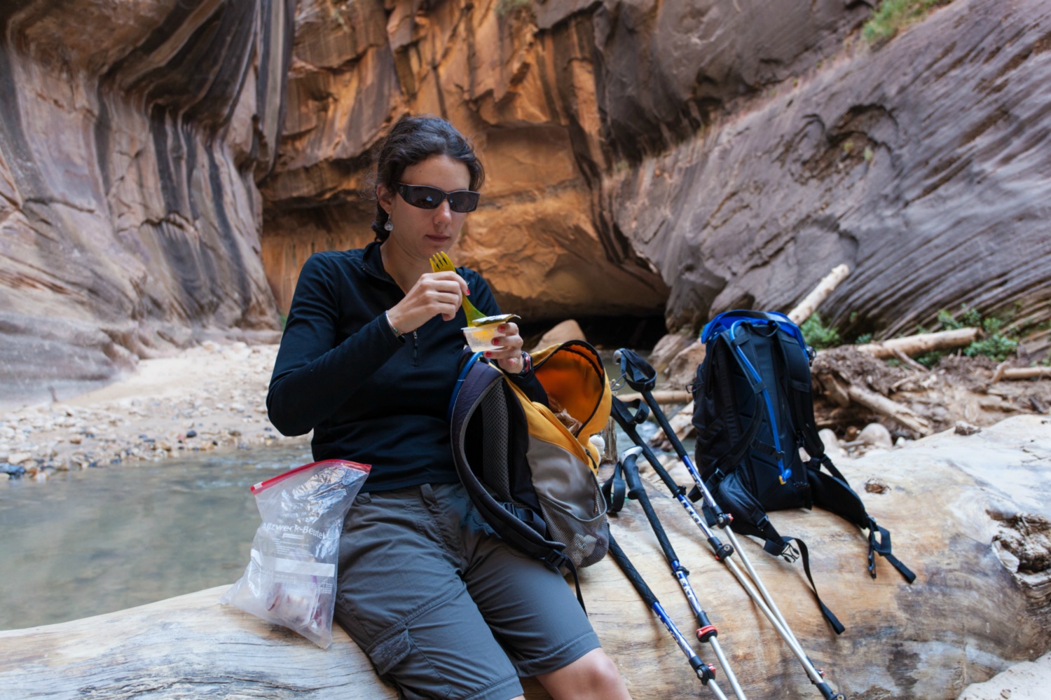 USA_Zion_154